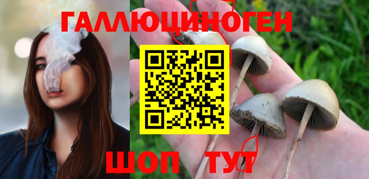 Волжск  Галлюциногенные грибы мухоморы  Галлюциногенные грибы мицелий  Вход с VPN 