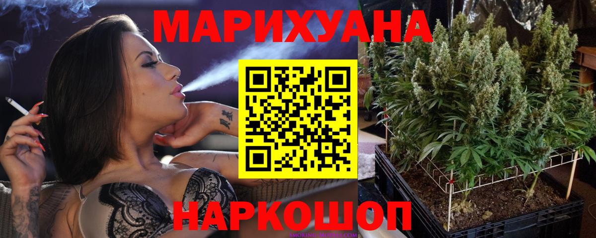 Волжск  Бошки марихуана планчик  Вход с VPN  Марихуана Amnesia  МАРИХУАНА марихуана 